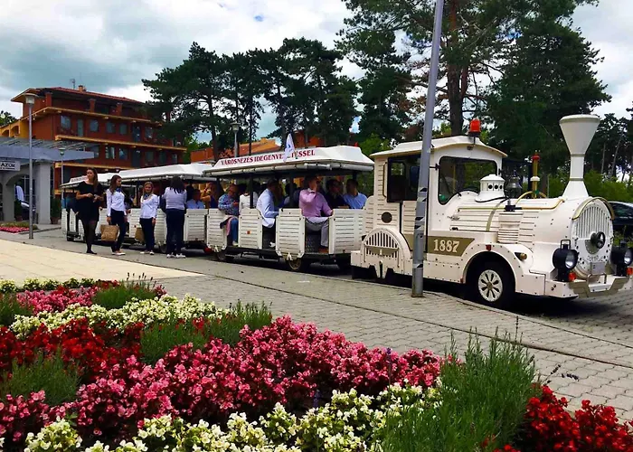 Panorama זמראדי